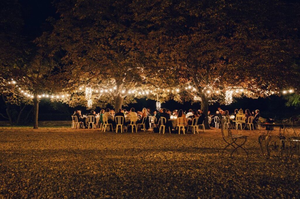 Svatba pod rozsvícenými stromy